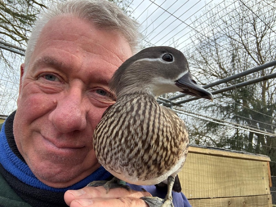 Clive with his waterfowl at Tenterden